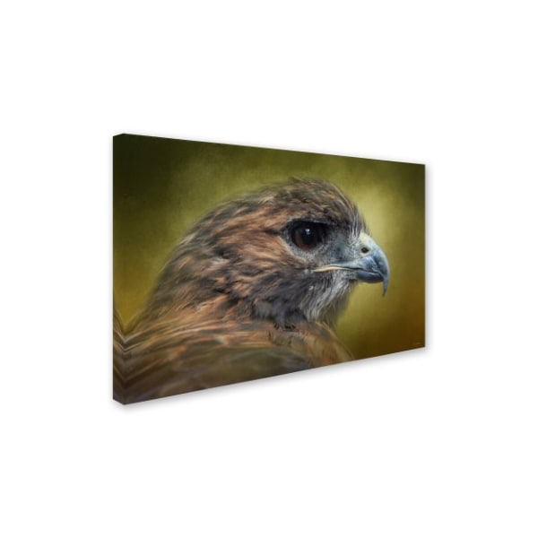 Jai Johnson 'Red Tailed Hawk At Reelfoot' Canvas Art,22x32